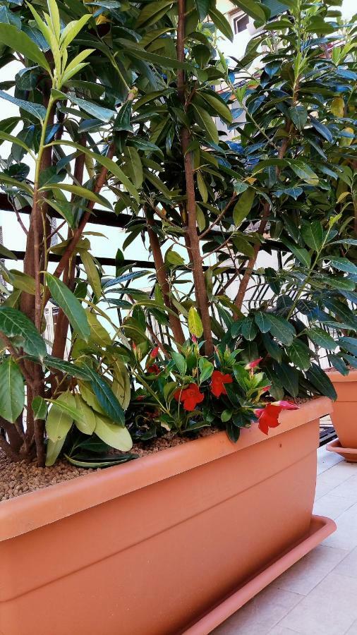 B&B Malaga Salerno Exterior photo